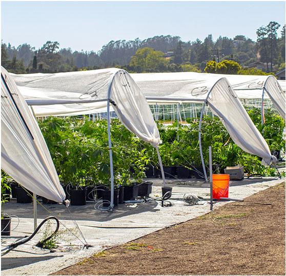 Fertigation Room